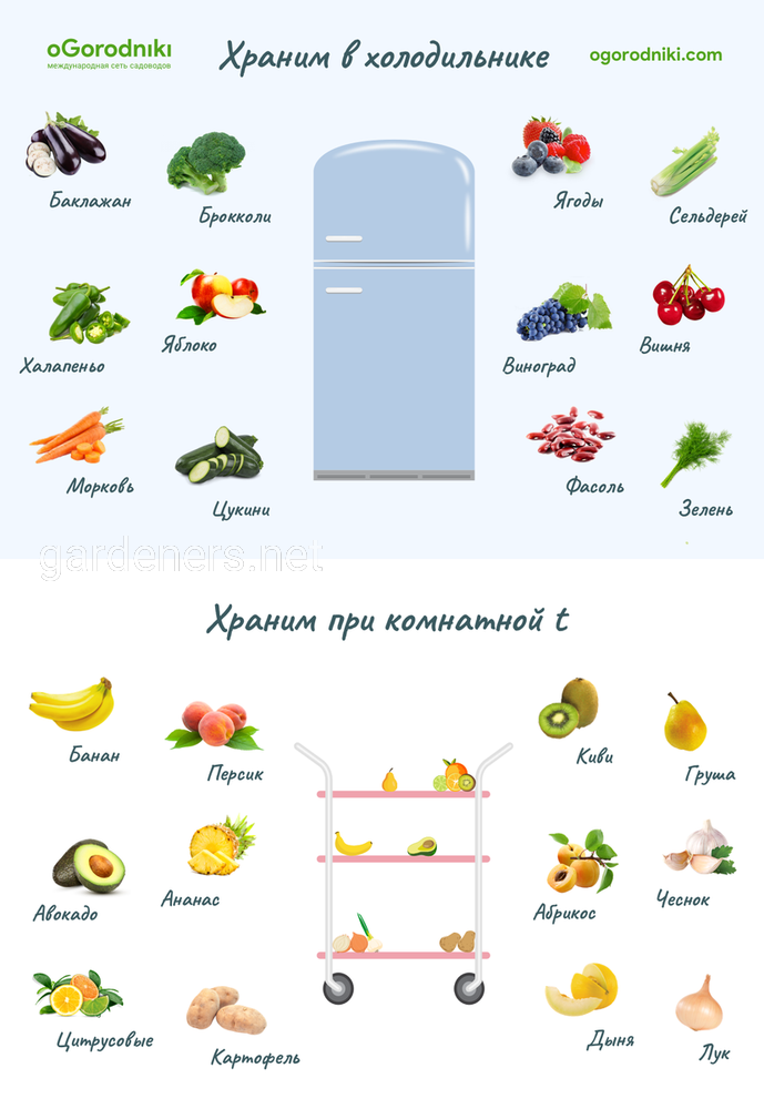 хранение овощей и фруктов
