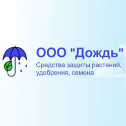 ООО «Дождь»