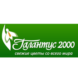 ООО «Галантус 2000» 