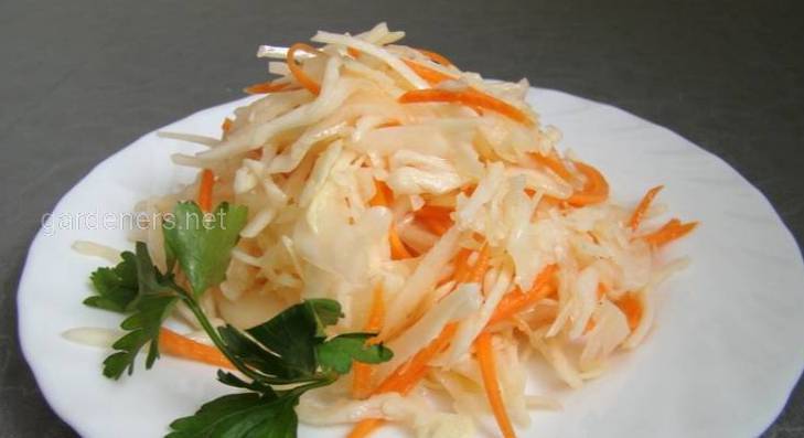 Рецепт салату зі свіжої капусти