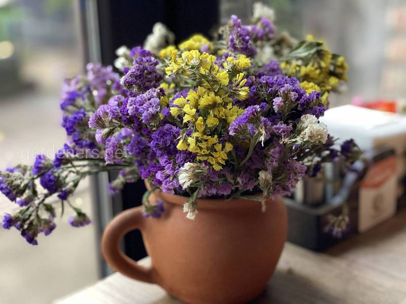 Пять лучших способов высушить цветы для украшения дома