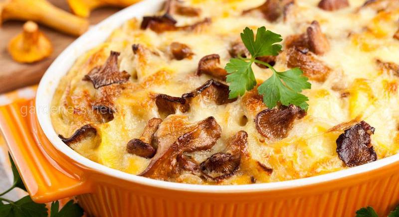 Рецепт картопляної запіканки з грибами