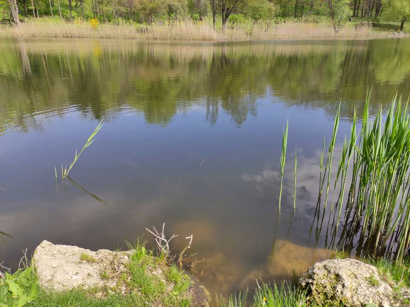 Водоем (пруд)