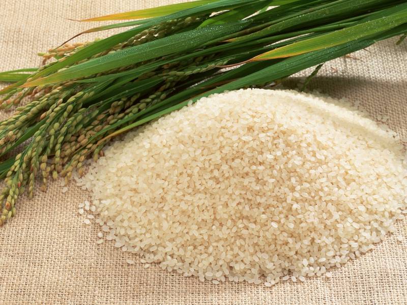 Какие самые распространенные виды риса и в чем их особенности?