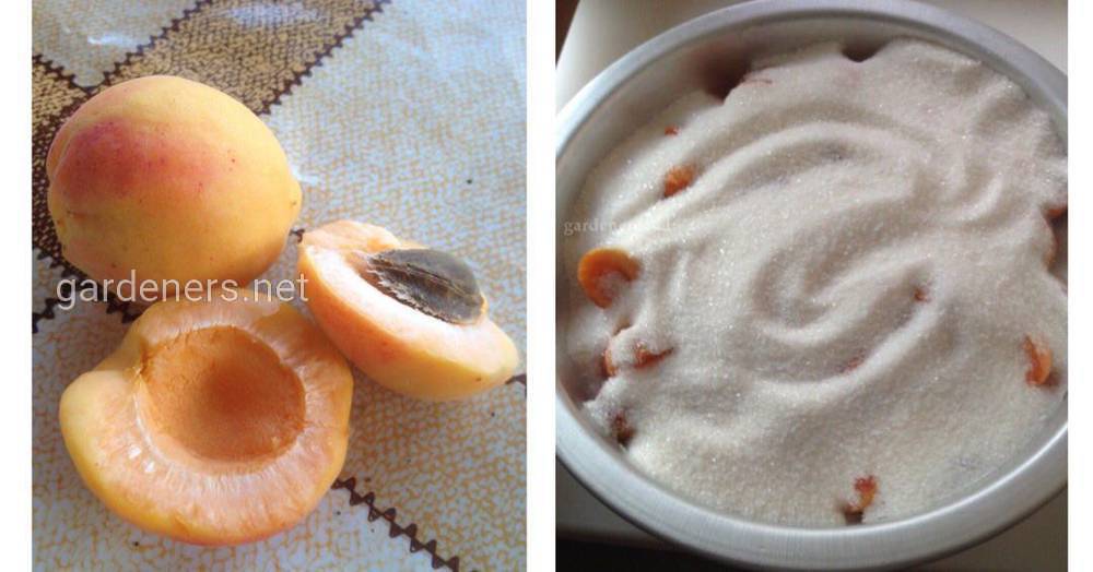 абрикосовое варенья 