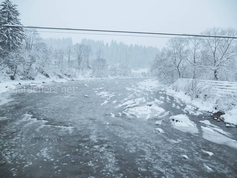 Загородная жизнь