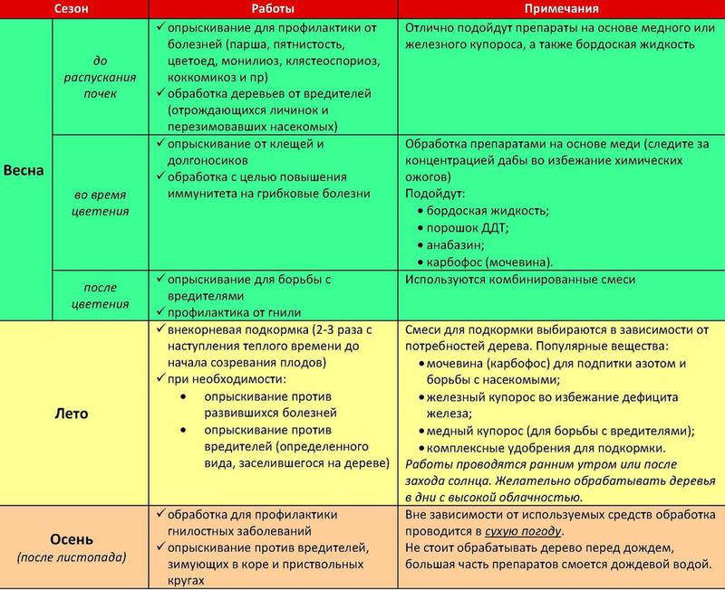 Сад и огород