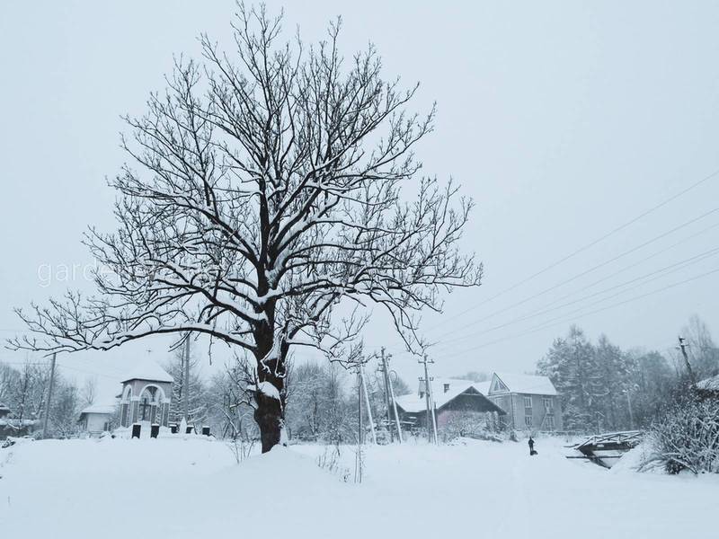 Загородная жизнь