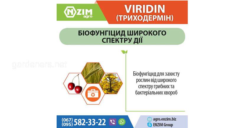 Триходермин (Viridin) ENZIM - Биологический фунгицид