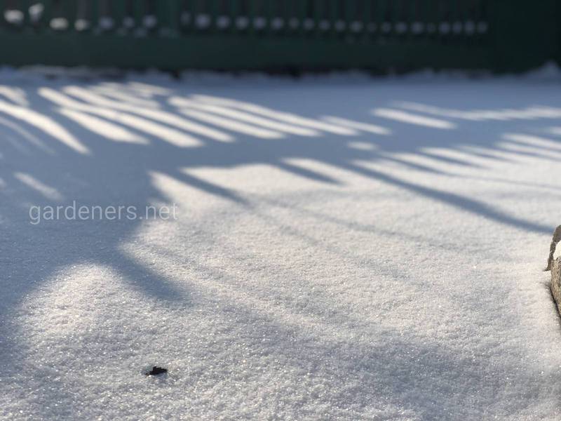 Загородная жизнь