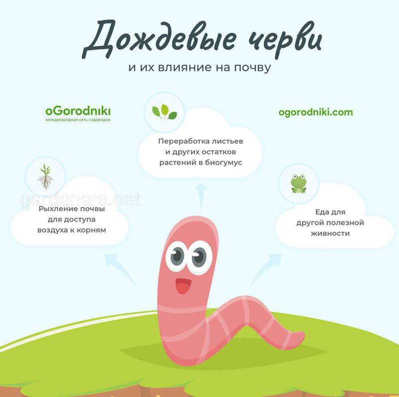 Сад и огород