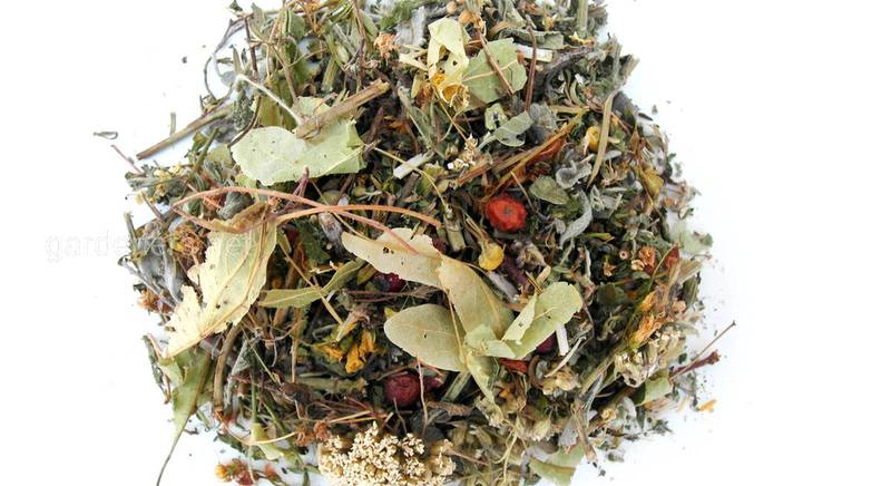 Травяной чай Бальзам здоровья