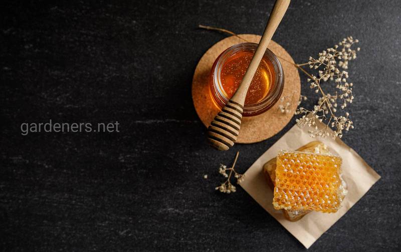 Коли і як використовувати мед в їжі?