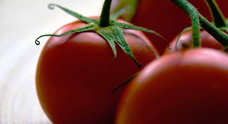 Обзор сортов томатов: коллекционные, низкорослые, супер ранние, высокорослые