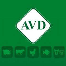 Компания «AVD»