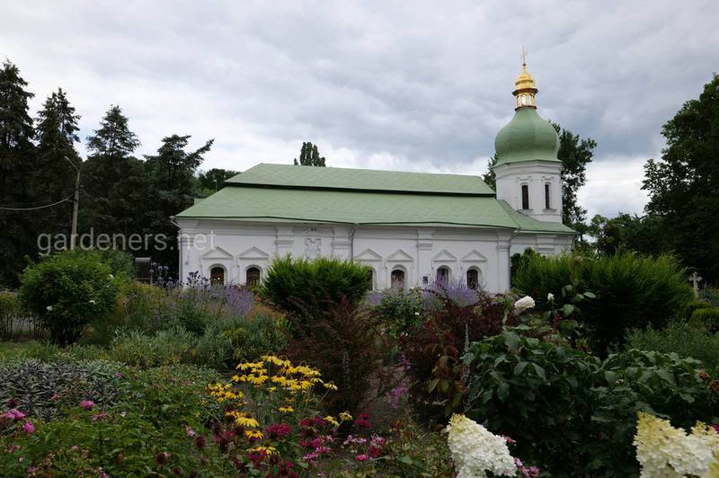 Цветники