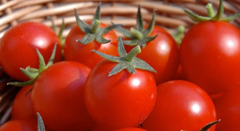 ТОП-30 интересных фактов про помидоры
