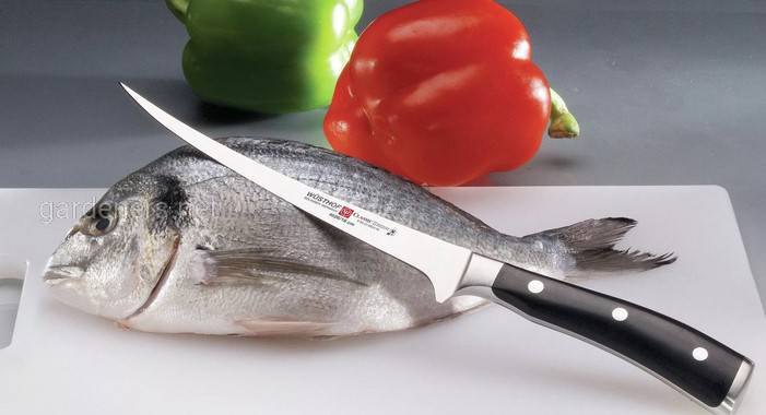 Що треба знати стосовно приготування риби