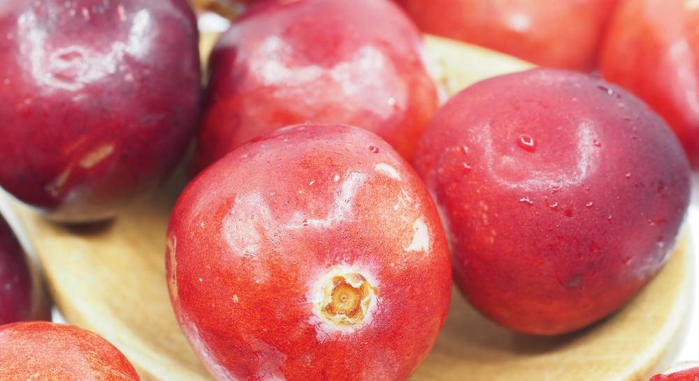 cranberry-1767424.jpg