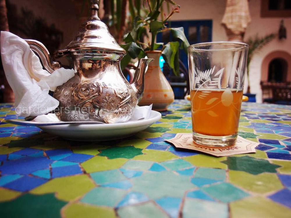Традиции чаепития в Марокко