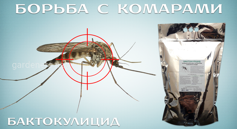 Бактокулицид ENZIM - Биоинсектицид для борьбы с комарами