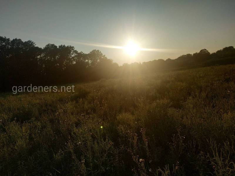 Загородная жизнь