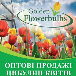  Компания “Golden Flowerbulbs”
