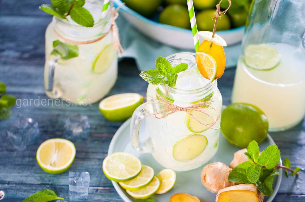 Рецепт лимонада с добавлением газированной воды