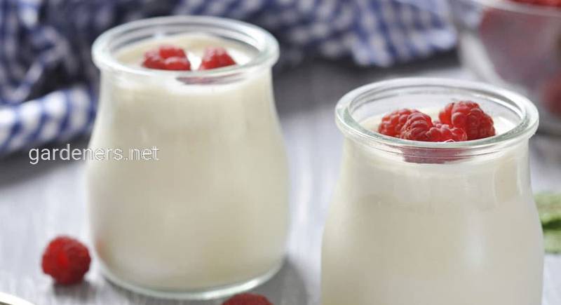 Йогурт из козьего молока, 1 л