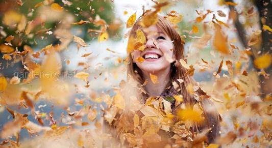 Как поднять настроение осенью при помощи эфирных масел