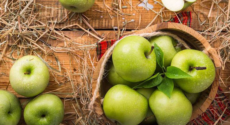 19 августа - Яблочный спас! Какие фрукты готовим в церковь на Яблочный Спас