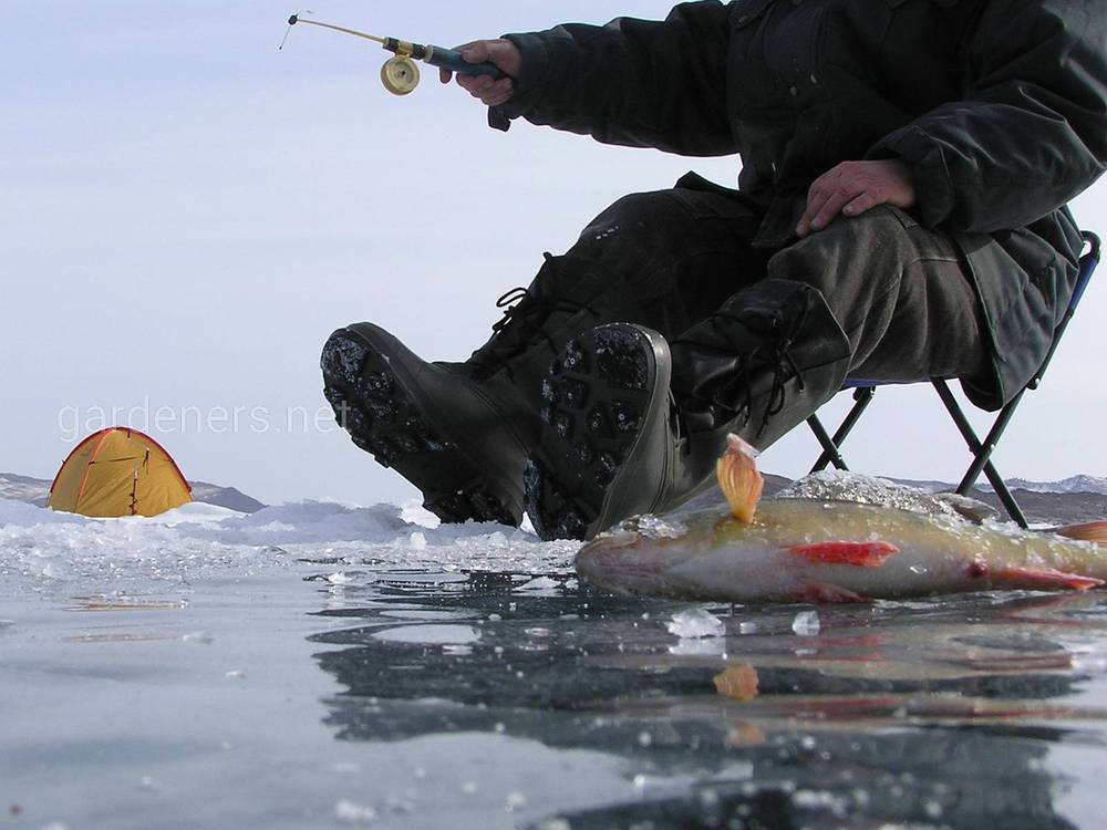 Особливості зимової риболовлі