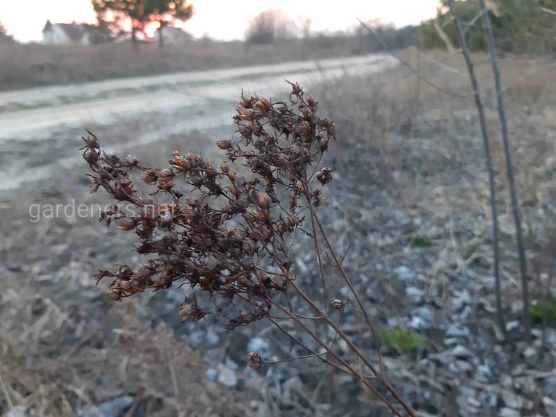 Загородная жизнь