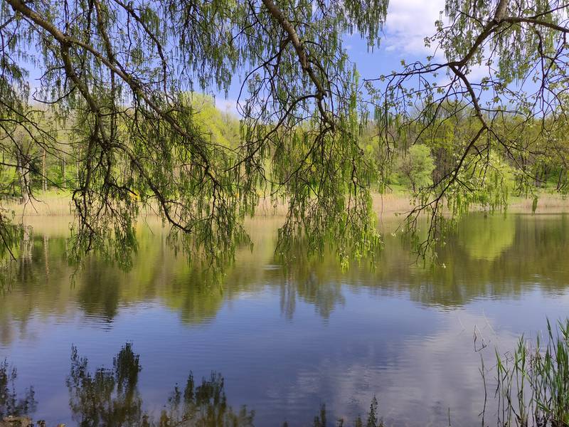 Водоем (пруд)