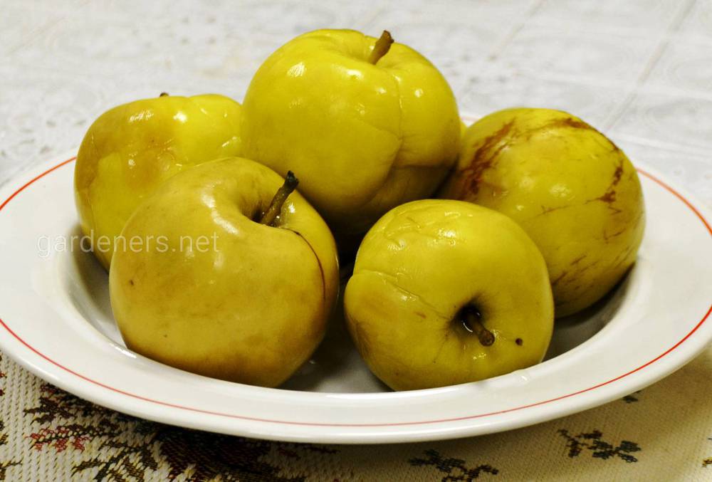 рецепты моченых яблок