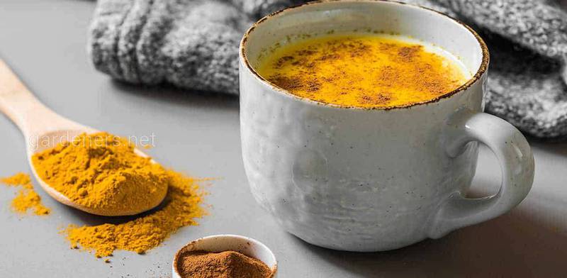 Рецепт индийского чая Масала