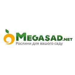 Интернет-магазин саженцев «Megasad» 