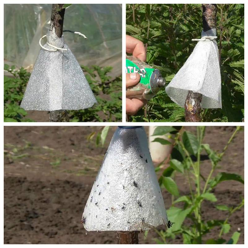 Сад и огород