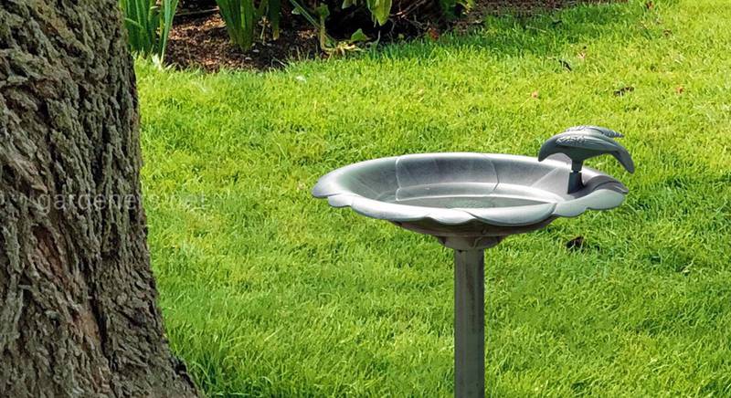 Пташині водні процедури: ванночка для купання