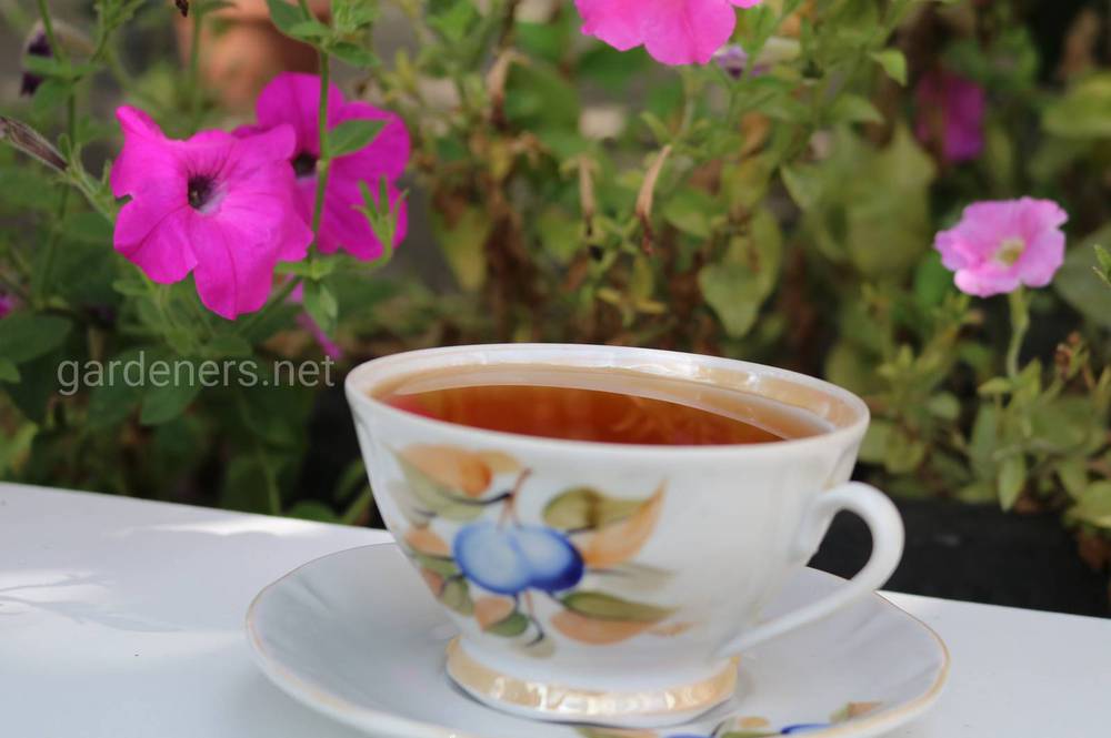 Чай из первоцвета