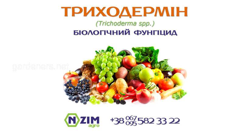 Триходермин (Viridin) ENZIM - Биологический фунгицид - Обзор, цена, где купить