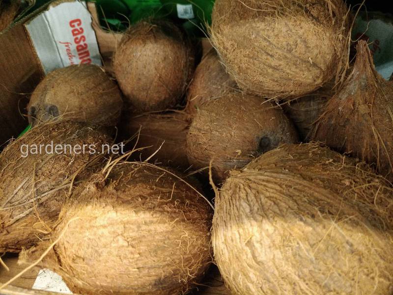 Как используют кокосовое волокно в сельском хозяйстве?