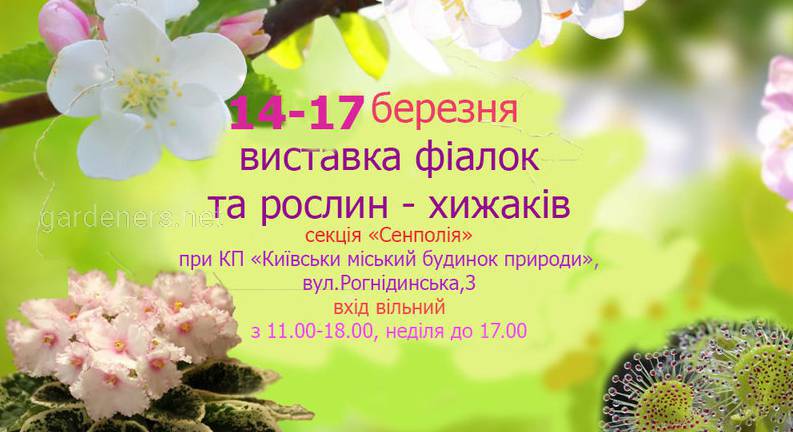 14-17 марта выставка африканських фиалок и растений-хищников