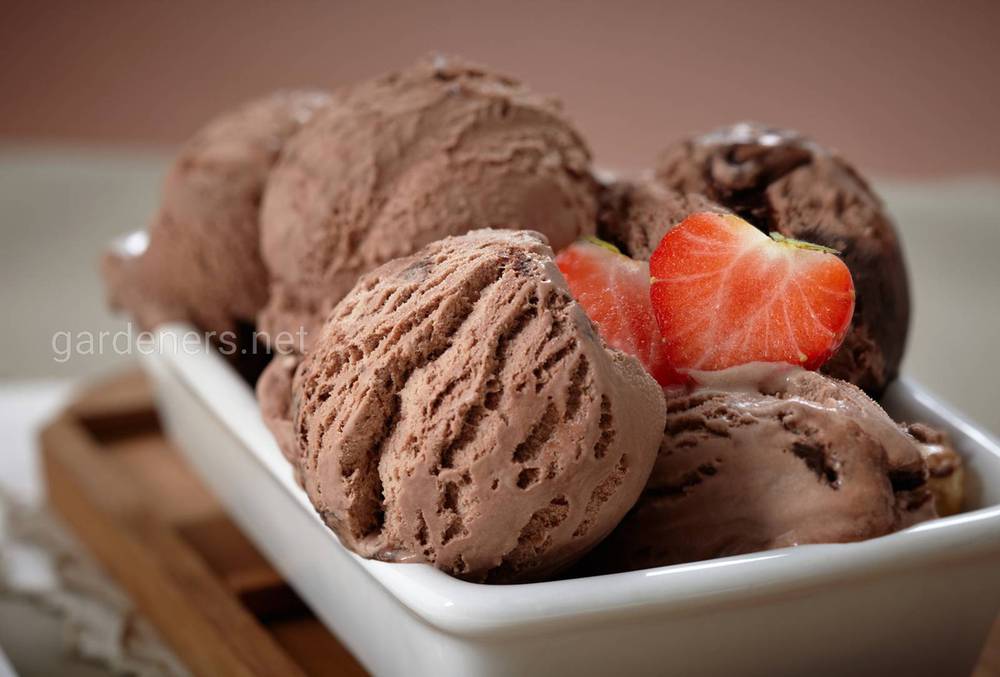 Шоколадное мороженное