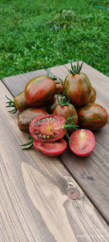 Насіння перців та колекційних томатів 