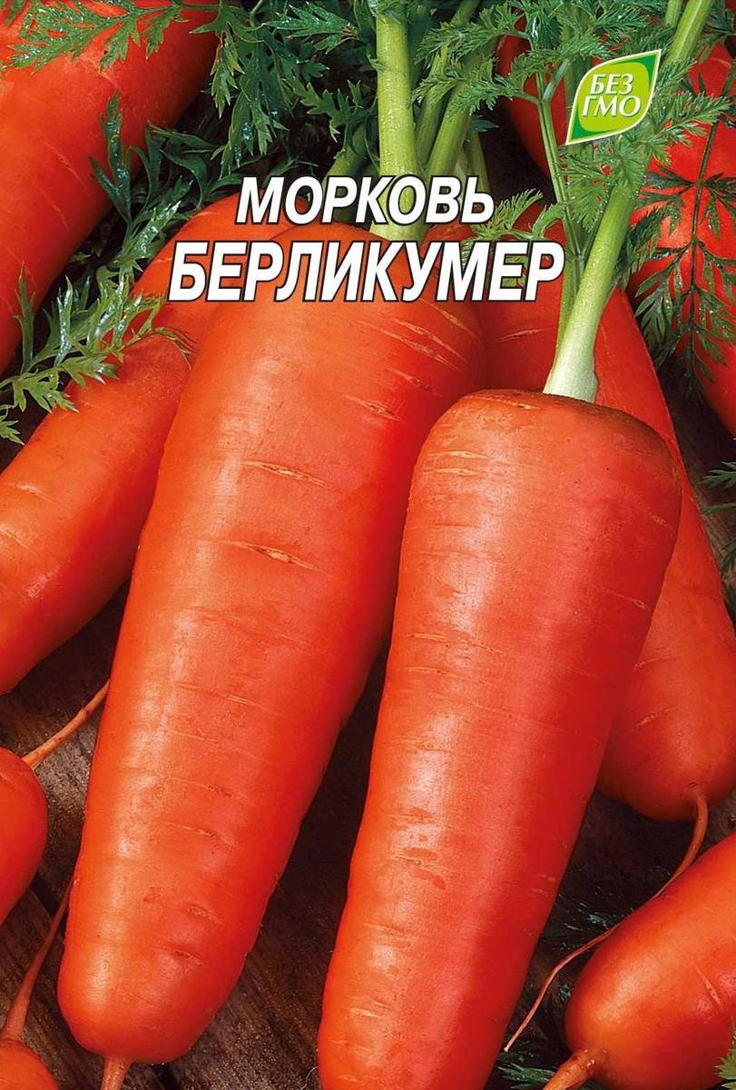 Сорт моркови Берликумер