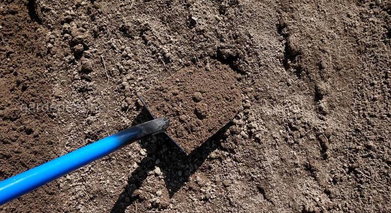 Особенности и характеристики суглинистой почвы