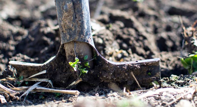 Способы повышения плодородия почвы