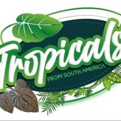 Tropicals-Plants From South America