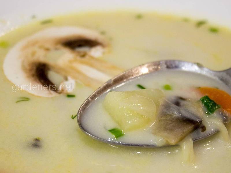 Рецепт быстрого супа с грибами! 